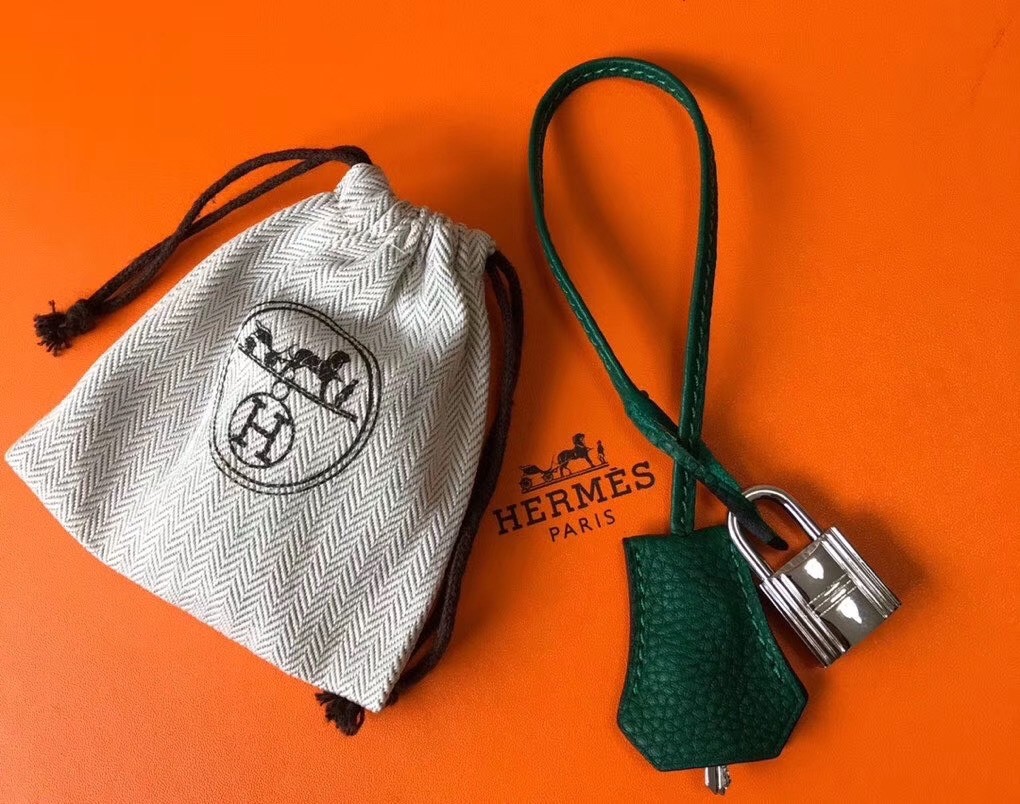 H**mes picotin lock 22 bag in vert vertigo clemence leather
