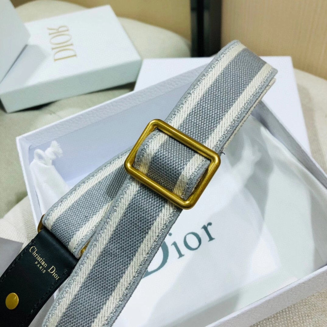 D*or grey embroidery adjustable shoulder strap